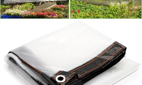 肺部霉菌感染是什么原因引起的怎么治疗-肺部霉菌感染的症状网 - 网站提供肺部霉菌感染的症状和表现小常识、肺部霉菌感染的症状表现